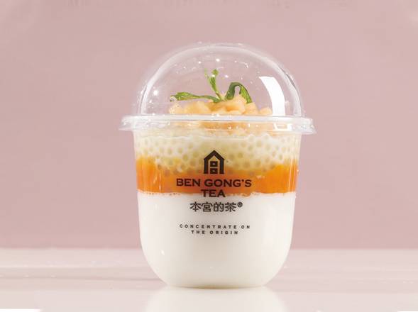 Mango Pudding / 芒小萌